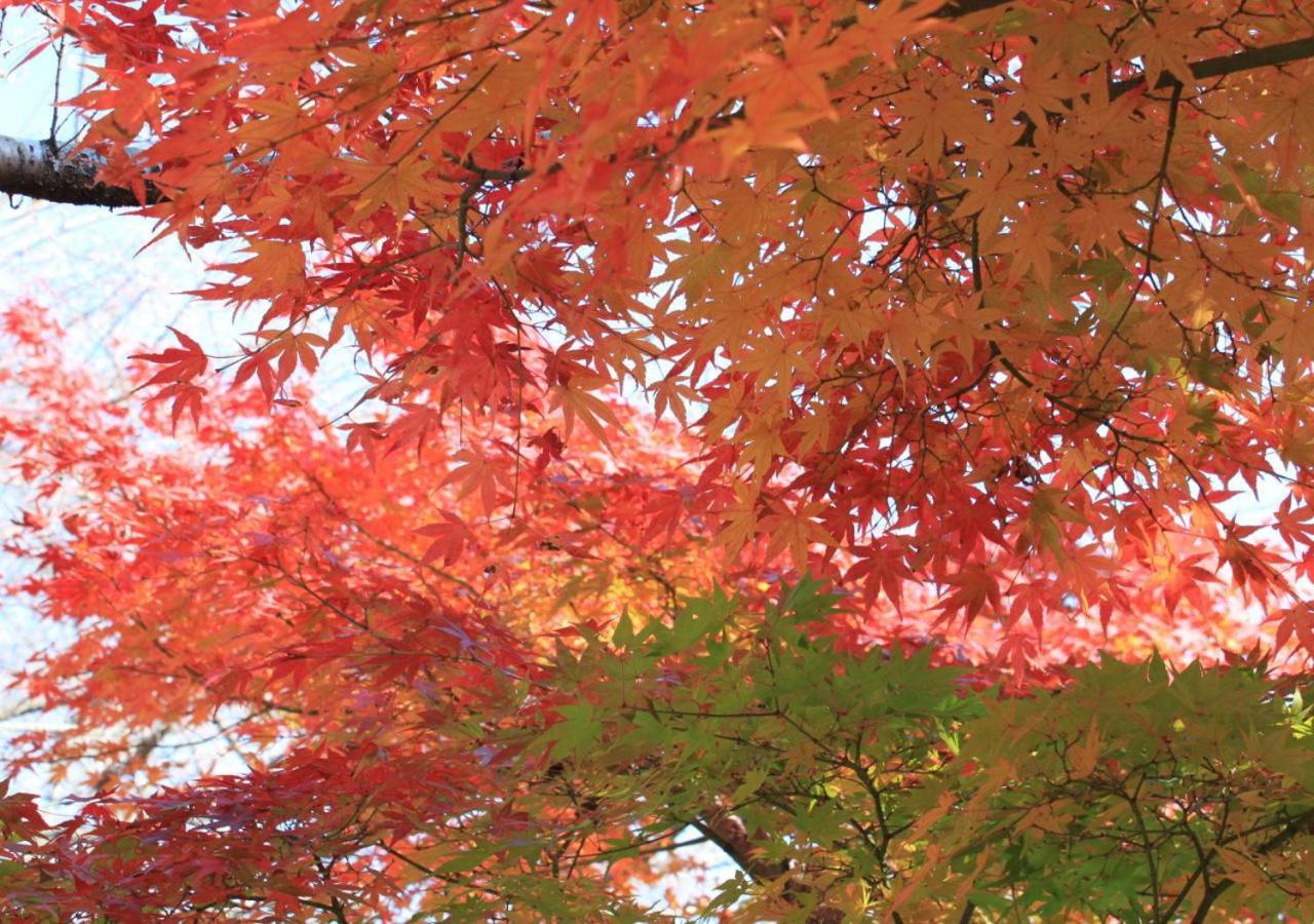 Rakuzan Yasuda Izunokuni Exterior foto